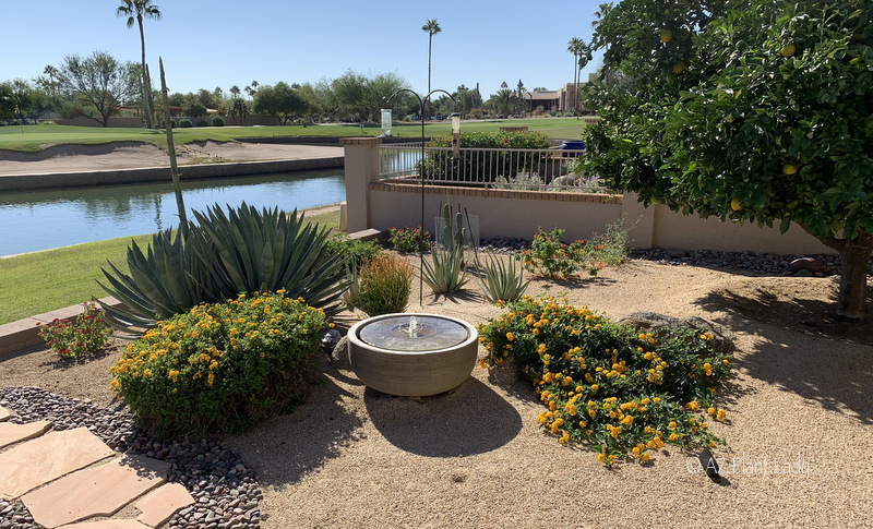 Desert Landscape Renovation