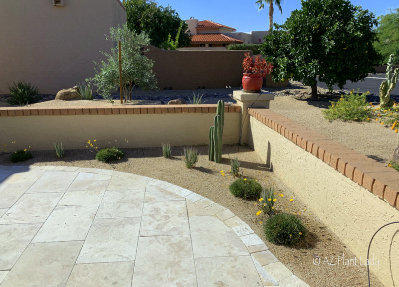 front patio landscaping