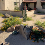 Desert Landscape Renovation