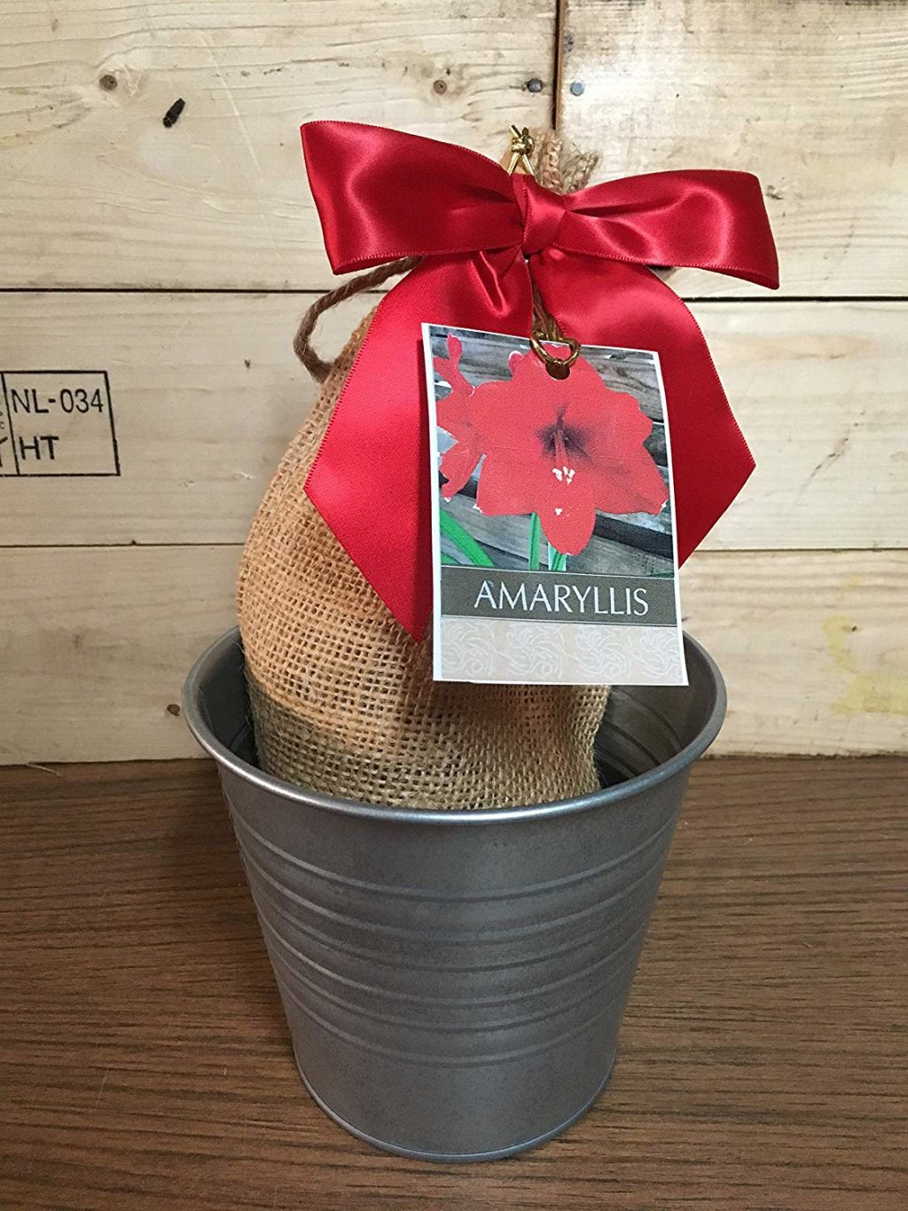 Amaryllis gardener gift