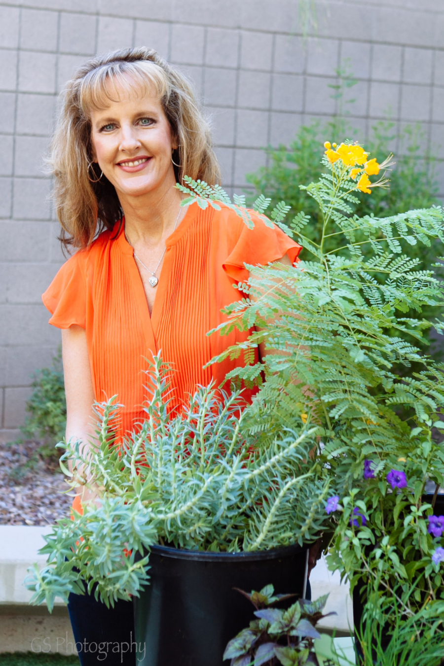 AZ Plant Lady Noelle Johnson Arizona gardening