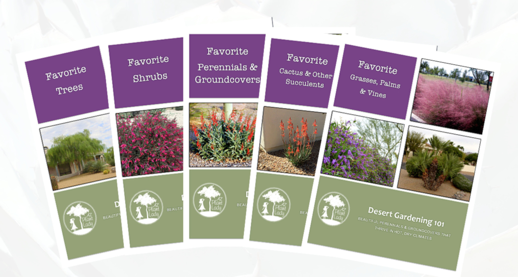 best-plants-for-desert-garden for desert gardeners