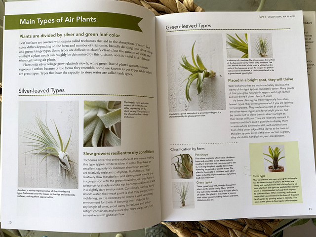 I was provided a free copy of Living With Air Plants for my honest review.