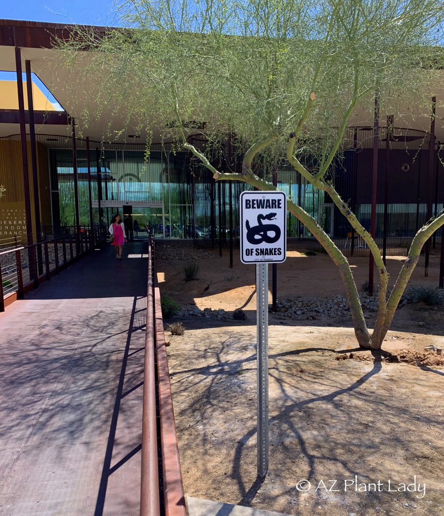 Cave Creek Branch of the Phoenix Public Library