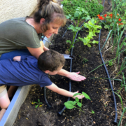 gardening-with-children-planting-a-seed