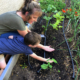 gardening-with-children-planting-a-seed