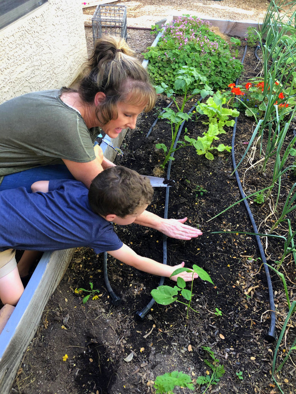 gardening-with-children-planting-a-seed