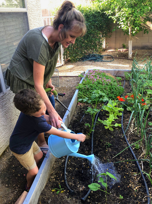 watering-seedling