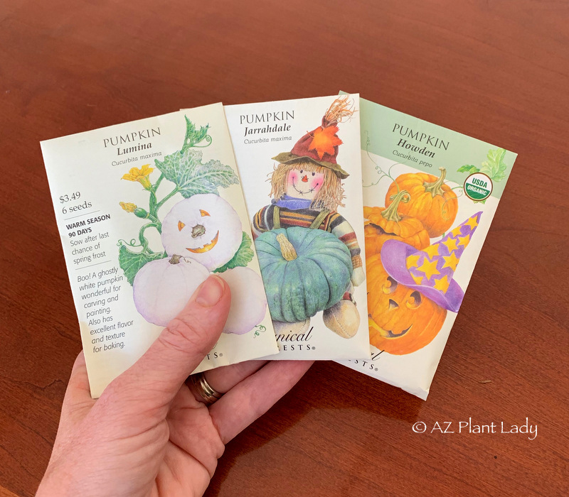 pumpkin seeds by Botanical Interests Seed Company