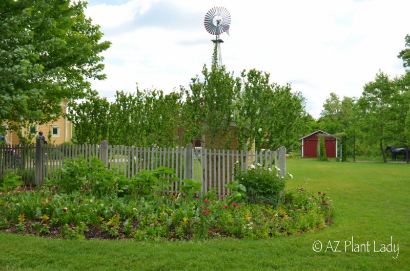 A northern garden