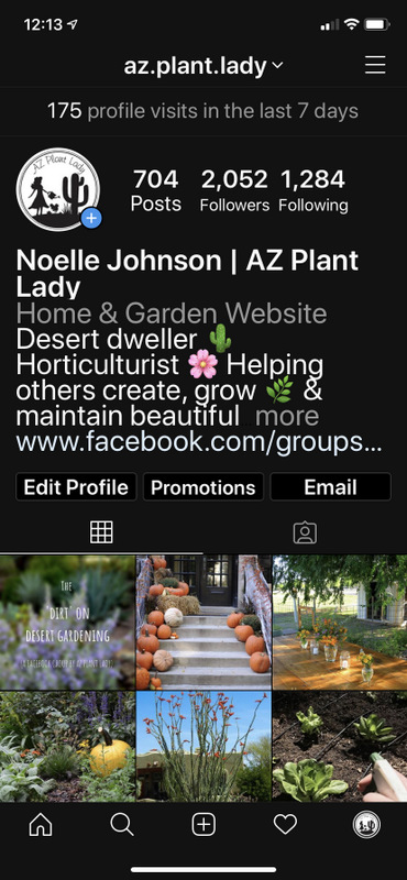 Desert Garden Resources to Guide, Inspire, and Support