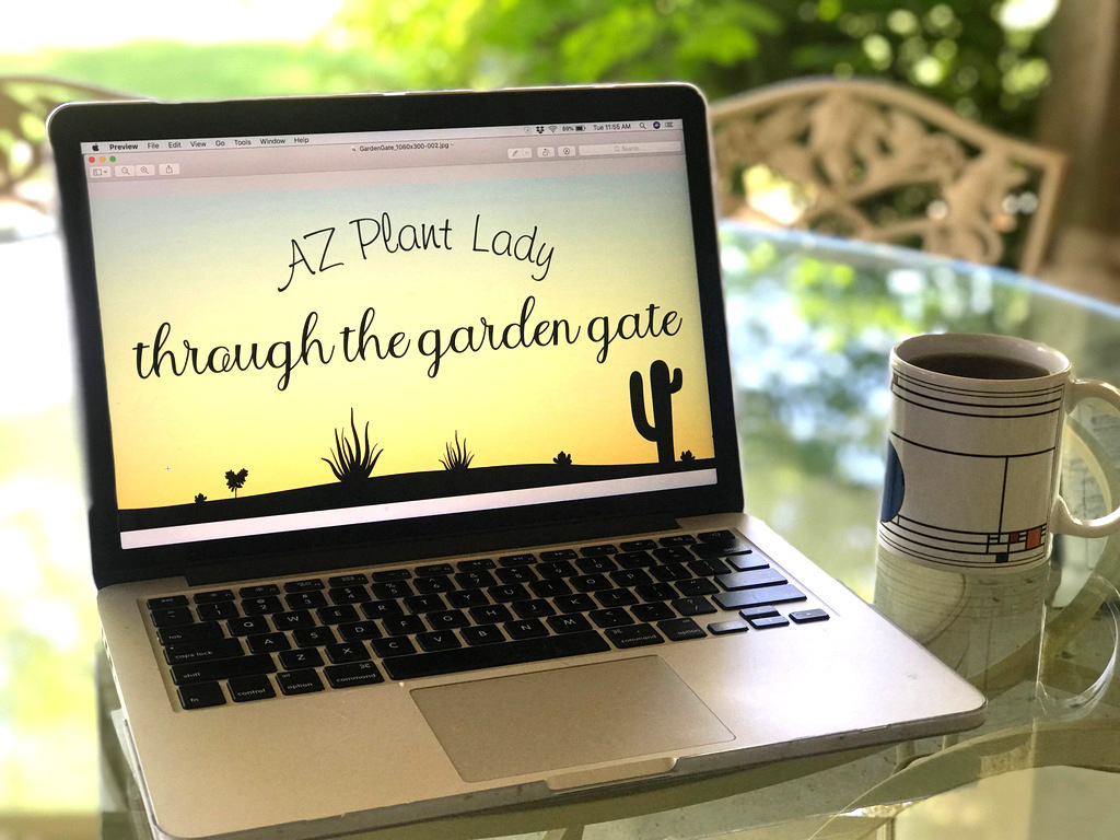 Desert Garden Resources to Guide, Inspire, and Support