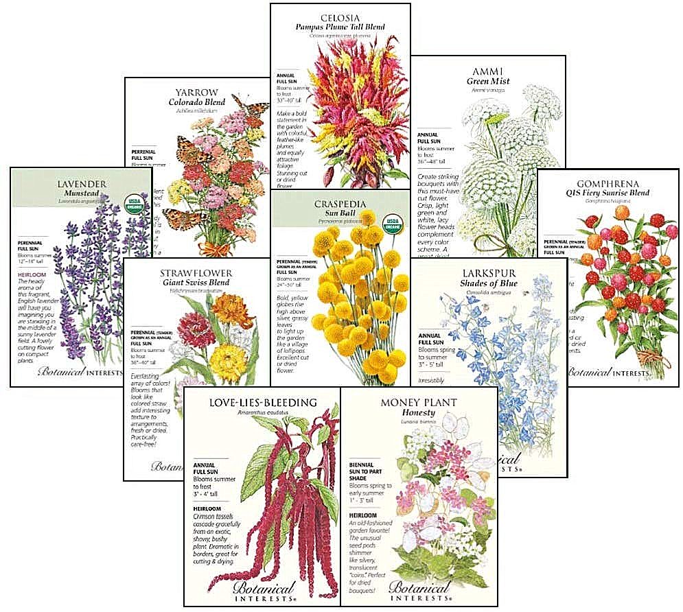 Seed Packets (gardening items)