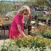 Noelle shopping for plants at nursery