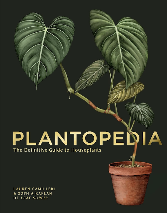 houseplant book