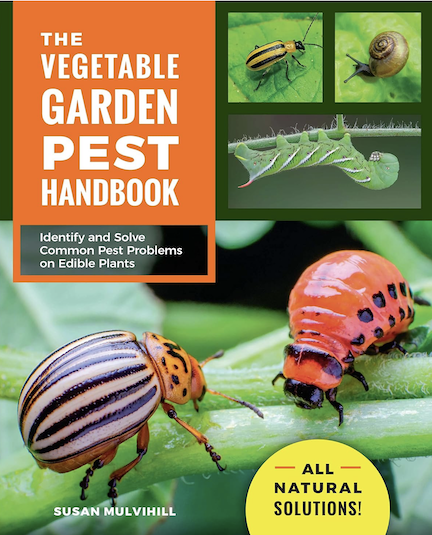 vegetable garden book