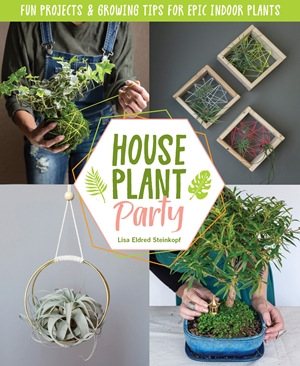 Houseplants-Party-Lisa-Steinkopf