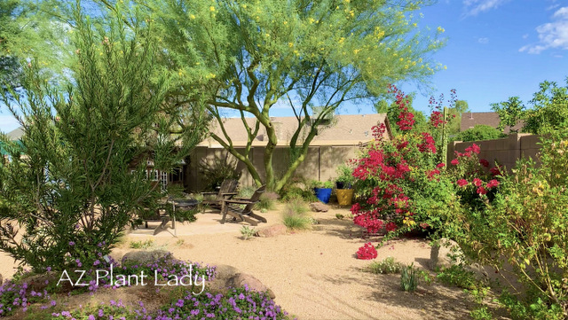 Ground Covers Archives Desert, Home Sweet Landscaping Arizona