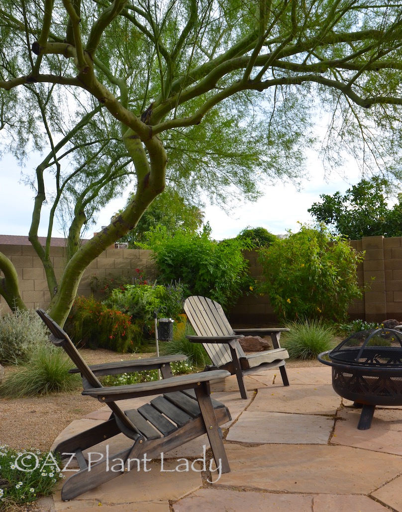 Dry Climate garden