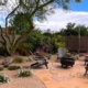 desert garden with flowering plants in fall