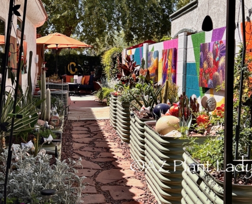 side garden with art on walls and raised beds