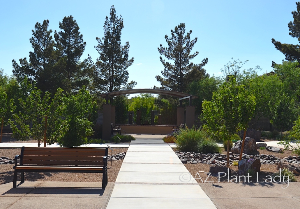 therapeutic garden Arizona  wide walkways