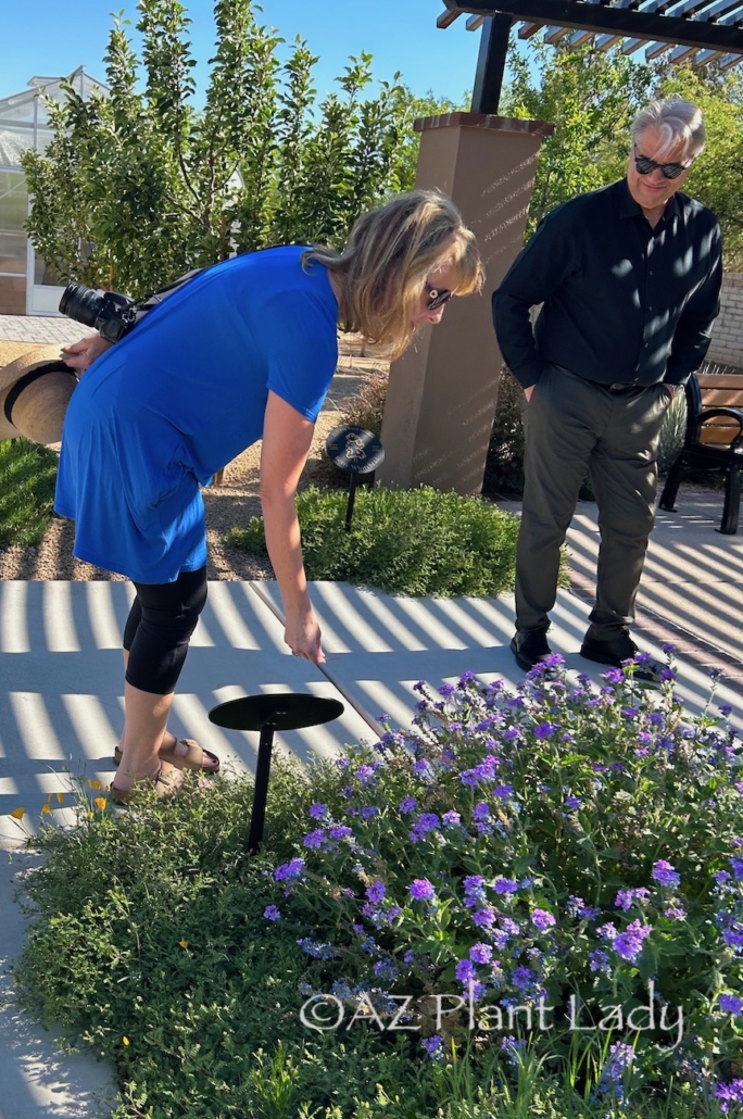 therapeutic garden Arizona touching the plants