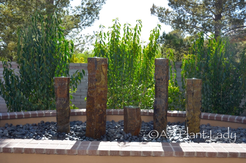 therapeutic garden Arizona sculpture and water fountains