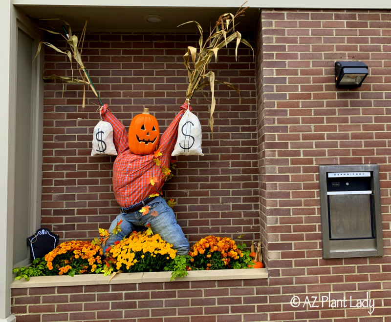 homemade pumpkins