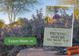 Shrub Pruning Guide